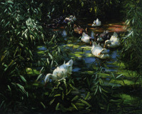 Ducks in the Reeds