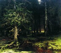 Deep Forest