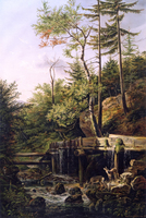 Deer at a Forest Brook