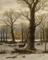 Winter Forest with Deer