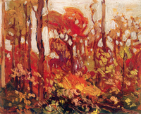 Autumn, Algonquin Park