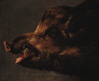 A Boar's Head
