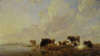 Cattle by a River