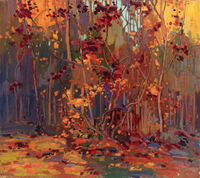 Maple Saplings, October