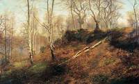 Burnham Beeches, Buckinghamshire
