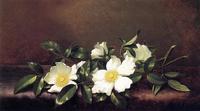 Cherokee Roses on a Purple Cloth