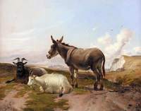 On the Downs