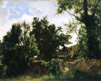 Castle Wall in Plankenberg