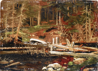 Old Lumber Dam, Algonquin Park
