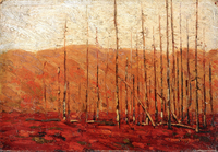 Autumn, Algonquin Park
