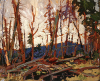 Burnt Country, Evening