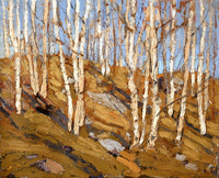 Northern Spring