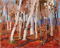 Maple Woods, Bare Trunks
