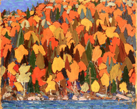 Autumn Foliage