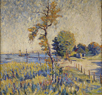 Summer Landscape