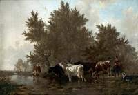 Cattle in a Stream