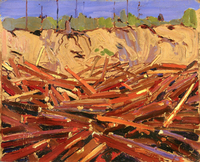 Sandbank with Logs