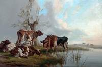 Cattle by a Stream
