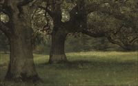 The Oaks in Kidbrooke Park