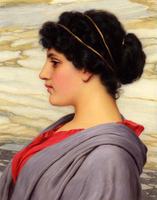 Perilla