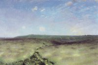The Field