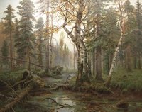Autumn Morning