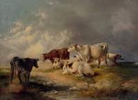 Cattle