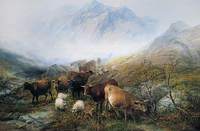 Through the Glen in a Mist