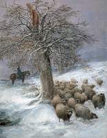 Sheep in the Snow