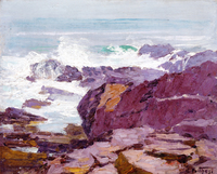 A Rugged Coast