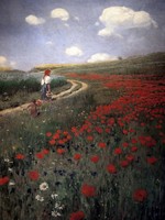 Poppies in Field
