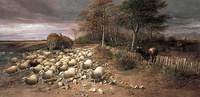 Sheep Stampeding in a Storm