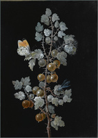 A Gooseberry Branch with Dragonfly, Butterfly and Caterpillar