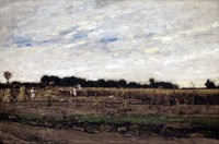 Corn Field