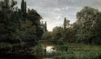Marshy Landscape