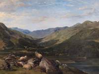 A View of Glen Lochay with Sheep