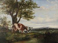 Highland Cattle by a Stream