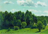 Summer Landscape
