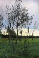 Group of Alder Trees