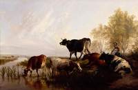 Milking Time in the Meadows