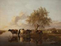 Canterbury Meadows