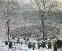 Skating Rink in Snow