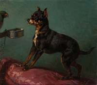 Dog with Parrot