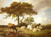 Repose in the Meadows