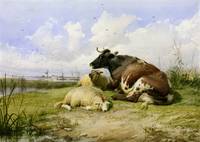 A Cow and Two Sheep