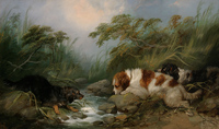 Three Dogs by a Brook