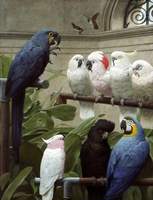 A Select Committee