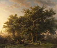 Forest View