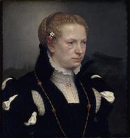 Portrait of an Unknown Woman