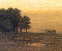 Early Evening